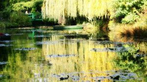 Cycling Tour, Giverny